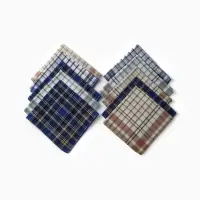 Платки носовые мужские Экономь и Я "Квадрат" 38*38 см, (набор 10 шт), рис. МИКС,100% пэ