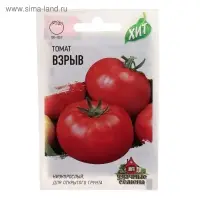 Семена Томат балконный &laquo;Взрыв&raquo;, раннеспелый, детерминантный, 0.05 г, &laquo;ХИТ-Гавриш&raquo;