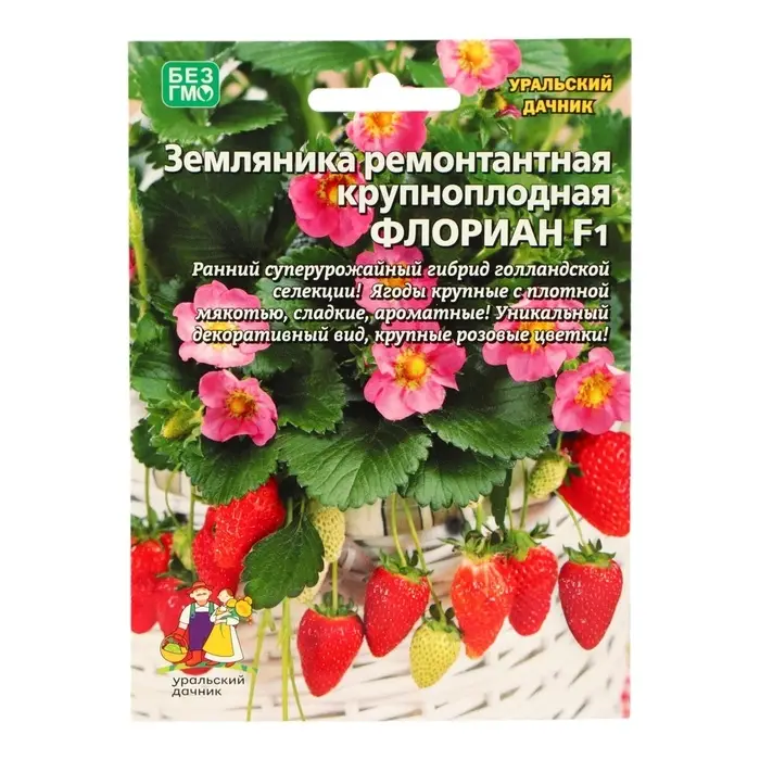 Семена Земляника "Флориан" , 5 шт