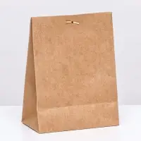 Коробка-пакет, крафт с окном, 20 х 15 х 8 см