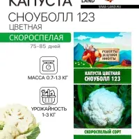 Семена Капуста цветная "Сноуболл 123", 0,3 г
