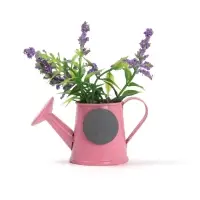 Магнит "Лейка", 9*10 см, МИКС