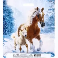 Пакет подарочный, новогодний &laquo;Дуэт&raquo;, полиэтиленовый с вырубной ручкой, л 45&times;38 см, 60 мкм