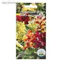 Семена цветов однолетние Львиный зев карликовая смесь  0,1