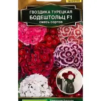 Семена цветов Гвоздика турецкая Бодештольц F1, смесь сортов  Золотая серия, Ц/П,7 шт.