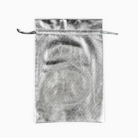 Мешочек подарочный парча &laquo;Северная почта&raquo;, серебро, 20 х 30 см , Новый год