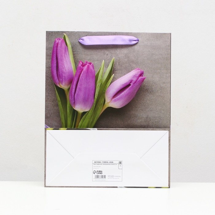 Пакет ламинированный, 26 x 32 x 12 см