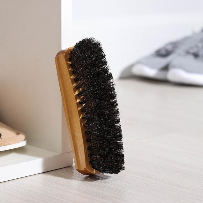 Щётка для обуви Тарри, 14&times;4 см, конский волос