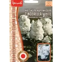 Семена цветов Маттиола Cinderella White карликовая  5шт.  12.29 г.