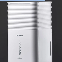 Электрический осушитель H-DH10-P81WF