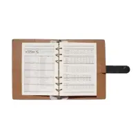 Органайзер на кольцах, C6, с хлястиком, 80л, линия, к/зам, Черный