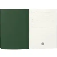 Ежедневник Flat, недатированный, зеленый