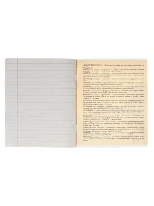 Тетрадь предметная 48 листов в линейку Calligrata, &laquo;Металл. Литература&raquo;, обложка мелованный картон, серые листы