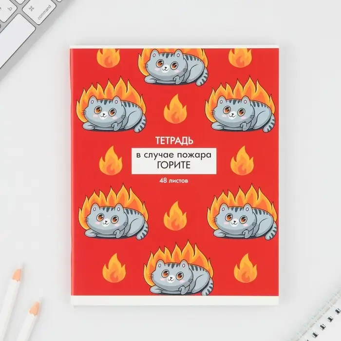 Тетрадь в клетку, 48 л., А5, на скрепке, блок №1 &laquo;Котики приколы&raquo; МИКС