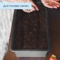 Ящик для рассады, 36 &times; 14 &times; 9 см, 3 л, пластик, чёрный