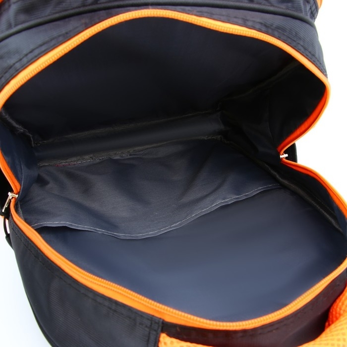 Рюкзак школьный каркасный 39х30х14 см &laquo;1 сентября: Лиса&raquo;