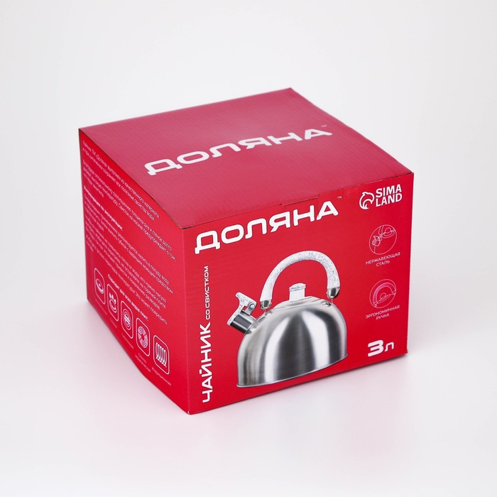 Чайник со свистком из нержавеющей стали Доляна &laquo;Чёрная ночь&raquo;, 3 л, фиксированная ручка, цвет хромированный