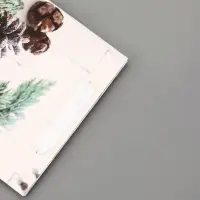 Пакет подарочный ламинированный "Зимняя пора" 18 х 23 х 10 см