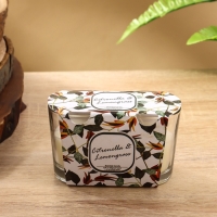 Набор свечей "BALLY BAND" 60 гр, цитронелла+лемонграсс