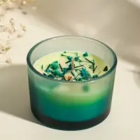 Свеча ароматическая в стакане "Aroma botanical" сухоцветы зелень, роза 7,5х7,5х5 см