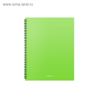 Папка с 20 вкладышами на спирали, А4, 600 мкм, ErichKrause Matt Neon, текстура "песок", МИКС