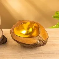 Чаша из кокоса, 15.5&times;21&times;7 см, коричнево-золотая