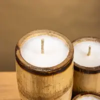 Свеча в бамбуке тройная &laquo;Экзотика&raquo;, 13&times;15&times;30 см, 100 мл, бежевая