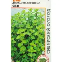 Семена Душица обыкновенная "Фея" 0,1 г