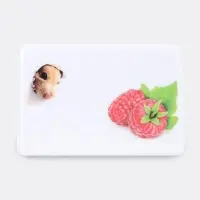 Обложка для проездного, пропуска, цвет белый