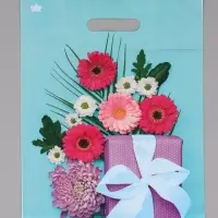 Пакет подарочный Подарочная композиция  40 х 31 см 60 мкм