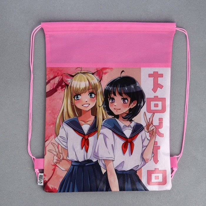 Мешок для обуви &laquo;Школьницы&raquo; полиэстер, размер 30 х 40 см