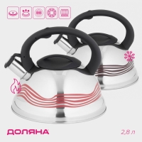 Чайник со свистком из нержавеющей стали Доляна &laquo;Волна&raquo;, 2,8 л, с индикатором нагрева, фиксированная ручка