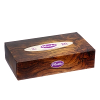 Салфетки бумажные в коробке Plushe, 2 слоя, 100 листов