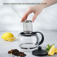 Чайник стеклянный заварочный &laquo;Вдохновение&raquo;, 850 мл, с металлическим ситом, цвет чёрный