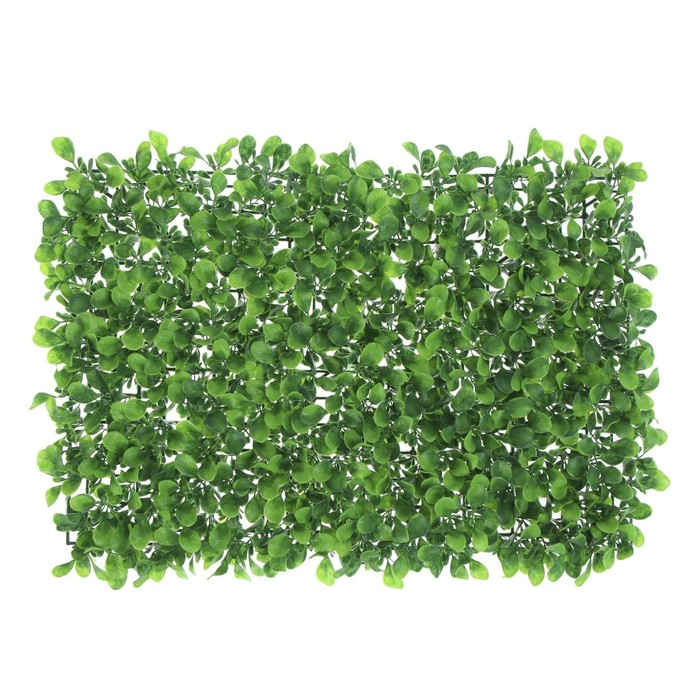 Декоративная панель, 60 &times; 40 см, &laquo;Мокрица&raquo;, Greengo