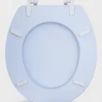 Сиденье для унитаза 40х37х4,5 см "Океан"