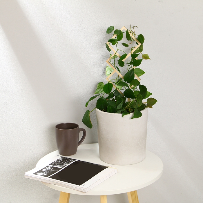 Шпалера, 36 &times; 12 см, дерево, &laquo;Ромб&raquo;, Greengo