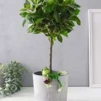 Сувенир полистоун "Лягуха с бокалом - расслабляемся" 9,5х4,5х7,5 см