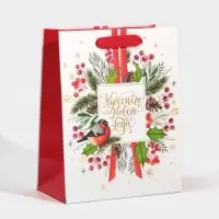 Пакет подарочный новогодний ламинированный &laquo;Чудесного Нового Года&raquo;, MS 18 х 23 х 10 см