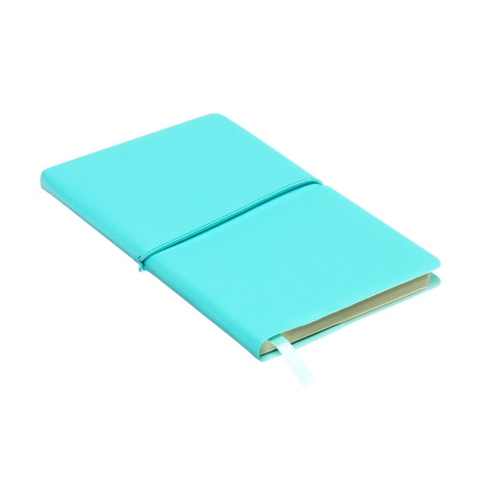 Планинг карманный недатированный, 80 листов, 100х170 мм, deVENTE.Jane, мягкая обложка ПВХ, на резинке, перфорация, ляссе, блок 70%, бирюзовый