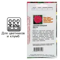 Семена цветов Цинния "Мечта", 0,2 г