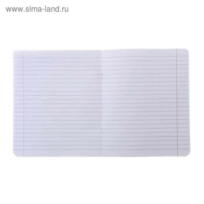 Тетрадь 24 листа в линейку &laquo;Великолепная пятёрка&raquo;, бумажная обложка, МИКС