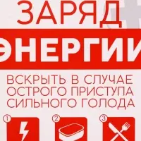 Ланч - бокс &laquo;Заряд энергии&raquo;, 1200 мл