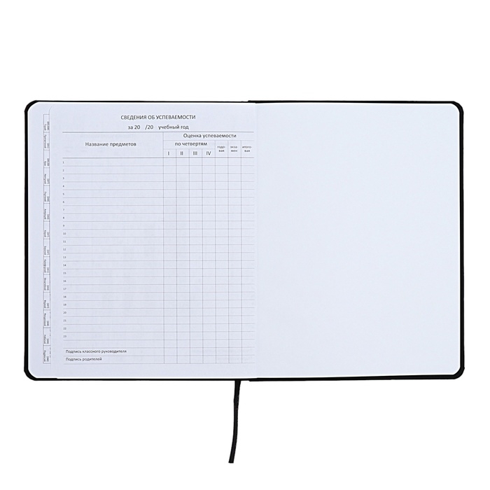 Дневник универсальный для 1-11 класса Anime Comix, интегральная обложка, искусственная кожа, шелкография, ляссе, 80 г/м2