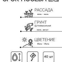 Семена цветов Анютины глазки "Флорист", Дв, 40 шт.