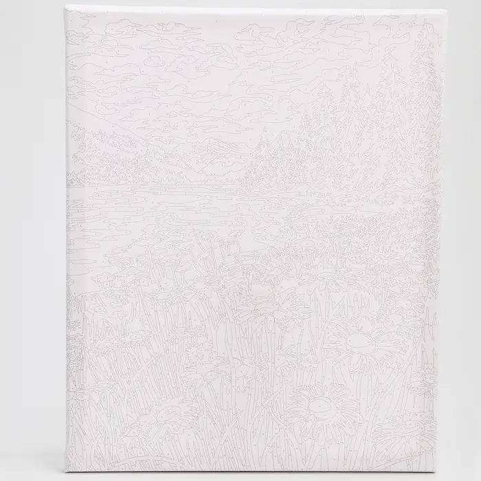 Картина по номерам на холсте с подрамником "Ромашковое поле" 40*50 см