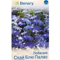 Семена цветов Лобелия Скай блю палас кустовая  (драже в пробирке) Спецсерия Benary, Ц/П,5 шт. 109455