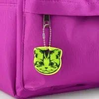 Светоотражающий элемент &laquo;Кисуля&raquo;, двусторонний, 4.7&times;4.8 см, МИКС