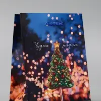 Пакет подарочный новогодний ламинированный, &laquo;Дед Мороз&raquo; , 11.5&times;6.5&times;14.5 см