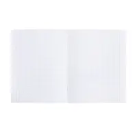 Тетрадь 48 листов в клетку &laquo;Приключения кота Пирожка&raquo; ОБЩЕСТВОЗНАНИЕ, обложка мелованная бумага, с интерактивным справочником, блок офсет